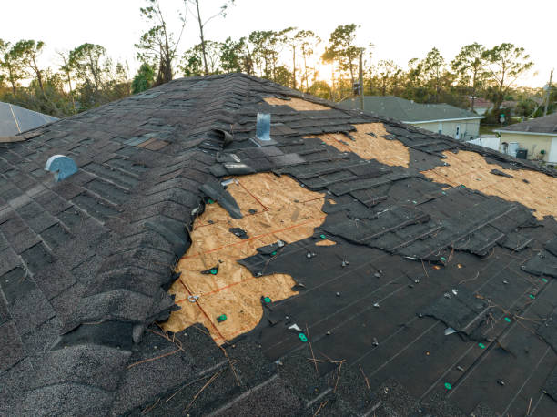 Best Roof Moss and Algae Removal  in Marion, SC